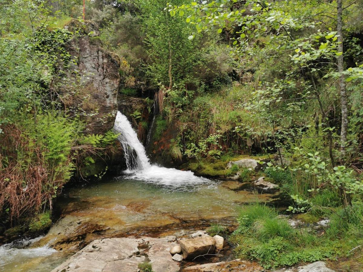 הוילה ואלנסה Quinta De Real מראה חיצוני תמונה